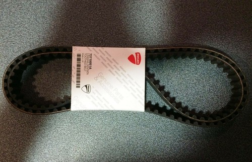 73710051a coppia cinghie - 73710051a,